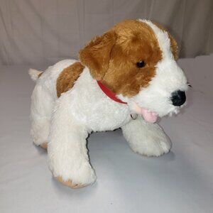 17" 12/2009 Jack Russell Terrier BAB with Collar